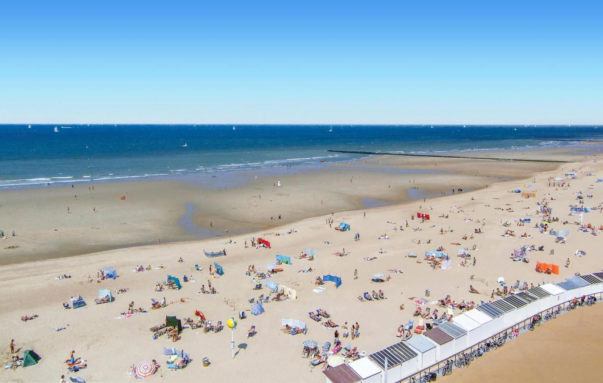 奥斯滕德Residentie Vent De Sable R,116公寓 外观 照片